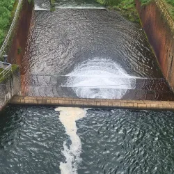 Nearby Water Bodies - Saham