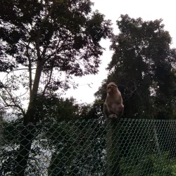 Nearby Water Bodies - Saham