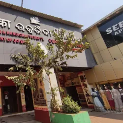 Odisha Handicraft Centers - Saham