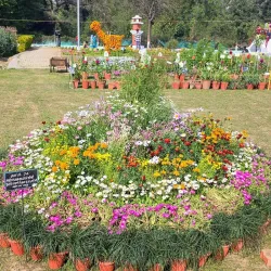 Company Garden (Company Bagh) - Saharanpur