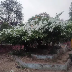 Company Garden (Company Bagh) - Saharanpur