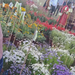 Company Garden (Company Bagh) - Saharanpur