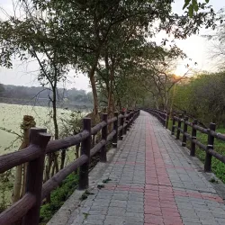 Nawabganj Bird Sanctuary - Saharanpur