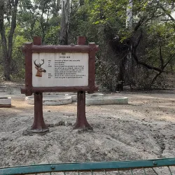 Nawabganj Bird Sanctuary - Saharanpur