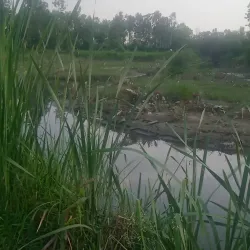 Saharanpur Museum - Saharanpur