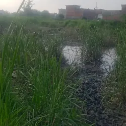 Saharanpur Museum - Saharanpur