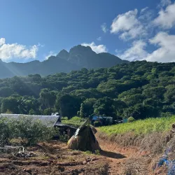 Pachamalai Hills - Salem