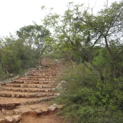 Pachamalai Hills - Salem