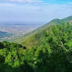 Pachamalai Hills - Salem