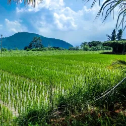 Pachamalai Hills - Salem