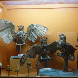 Salem Museum - Salem