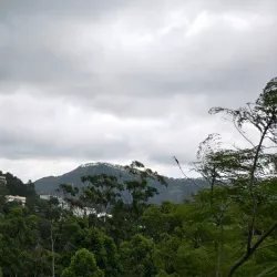 Yercaud Hill Station - Salem