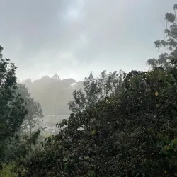 Yercaud Hill Station - Salem