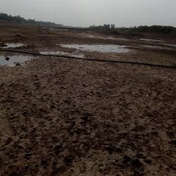 Krishna River - Sangli