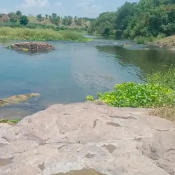 Krishna River - Sangli