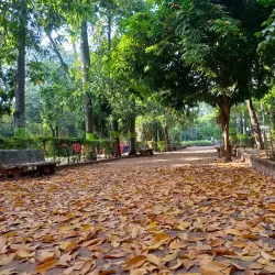 Sangli Botanical Garden - Sangli