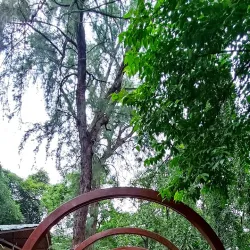 Sangli Botanical Garden - Sangli