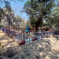 Sangli Botanical Garden - Sangli