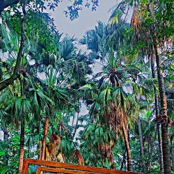 Sangli Botanical Garden - Sangli