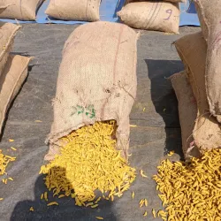 Sangli Market - Sangli