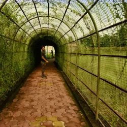 Raghurajpur Wildlife Sanctuary - Satna