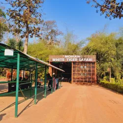 Raghurajpur Wildlife Sanctuary - Satna