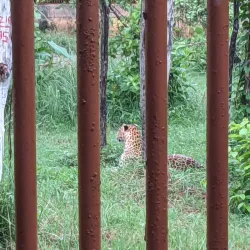 Raghurajpur Wildlife Sanctuary - Satna