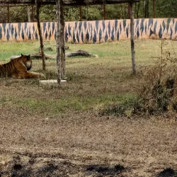 Raghurajpur Wildlife Sanctuary - Satna