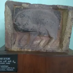 Satna Museum - Satna