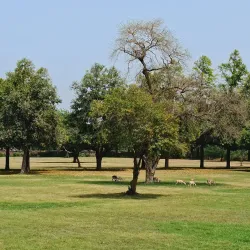 Sikandra Tomb (nearby) - Shikohabad