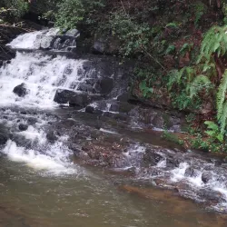 Elephant Falls - Shillong