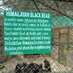 Lady Hydari Park - Shillong