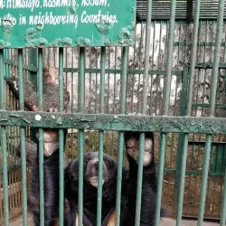 Lady Hydari Park - Shillong