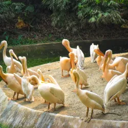 Lady Hydari Park - Shillong