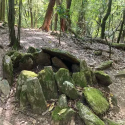Mawphlang Sacred Forest - Shillong