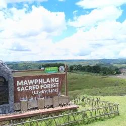 Mawphlang Sacred Forest - Shillong