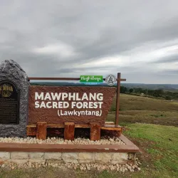 Mawphlang Sacred Forest - Shillong
