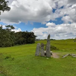 Mawphlang Sacred Forest - Shillong