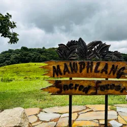 Mawphlang Sacred Forest - Shillong