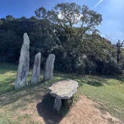 Mawphlang Sacred Forest - Shillong