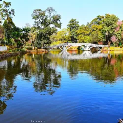Ward's Lake - Shillong