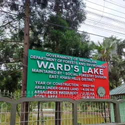 Ward's Lake - Shillong