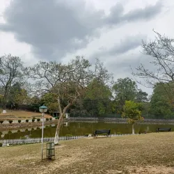Ward's Lake - Shillong