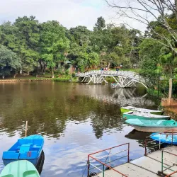 Ward's Lake - Shillong