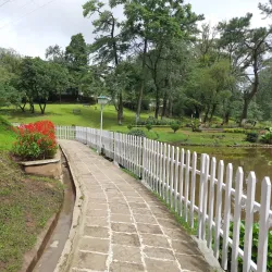 Ward's Lake - Shillong