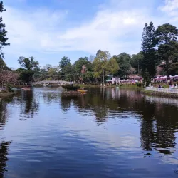 Ward's Lake - Shillong