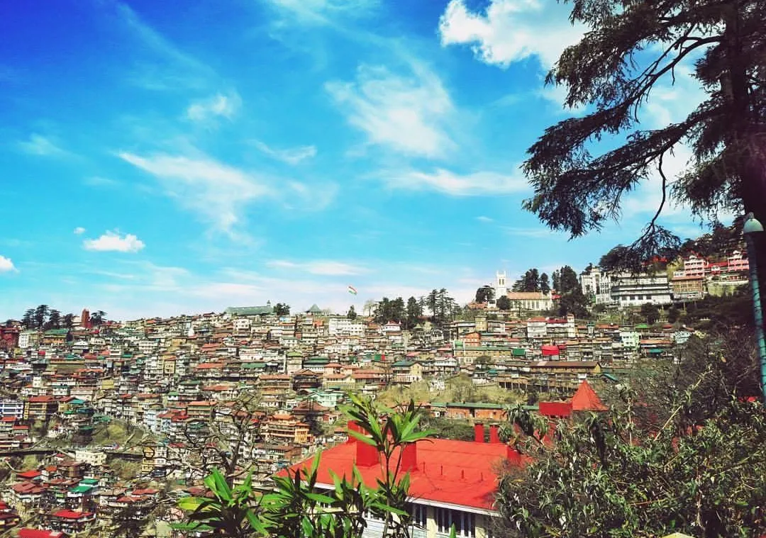 Shimla