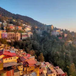 Summer Hill - Shimla