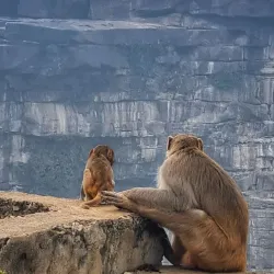 Bahuti Waterfall - Sidhi