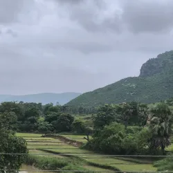 Kaimur Wildlife Sanctuary - Sidhi